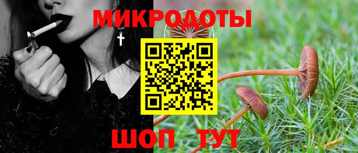Галлюциногенные грибы мухоморы Орехово-Зуево