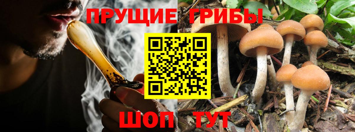 Альфа ПВП СК кристаллы  Вход с VPN  Орехово-Зуево  Амфетамин кристаллы  Гашиш  NBOMe  Меф МЯУ МЯУ   Конопля  ТГК  Конопля 