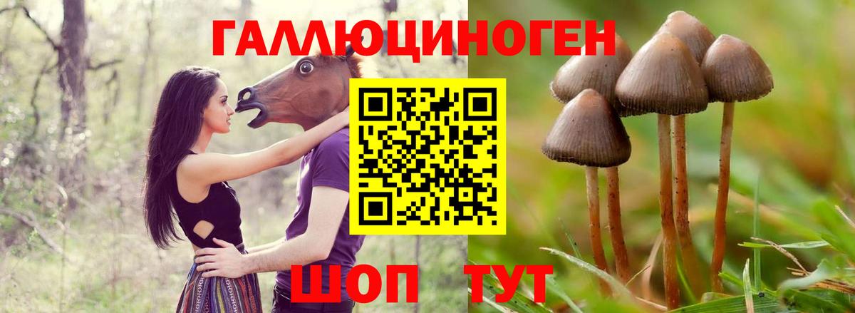 Галлюциногенные грибы мухоморы  Псилоцибиновые грибы прущие грибы  Орехово-Зуево  Вход с VPN 